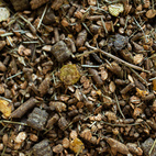 Brogaarden Cool Sport nr 3 15 kg